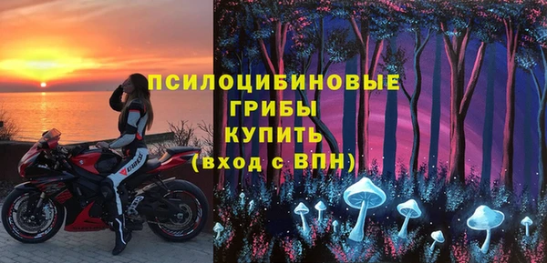 ALPHA PVP Алексин